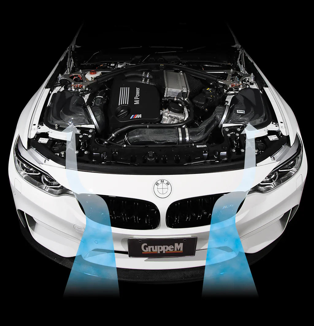 M3/M4 F80/F82 3.0L Twin Turbo (2014-2019) FRI-0339